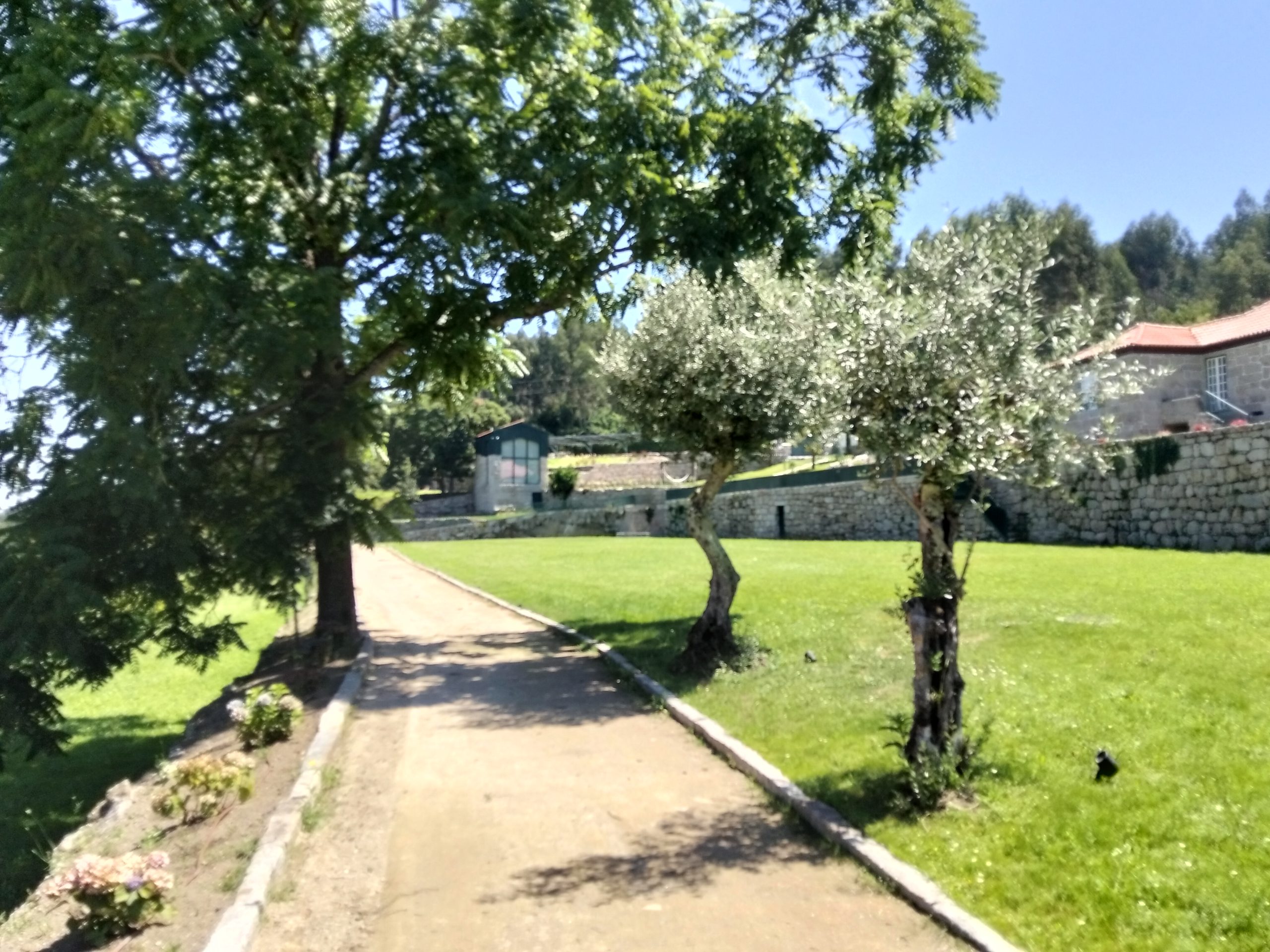 POMAR (5)
